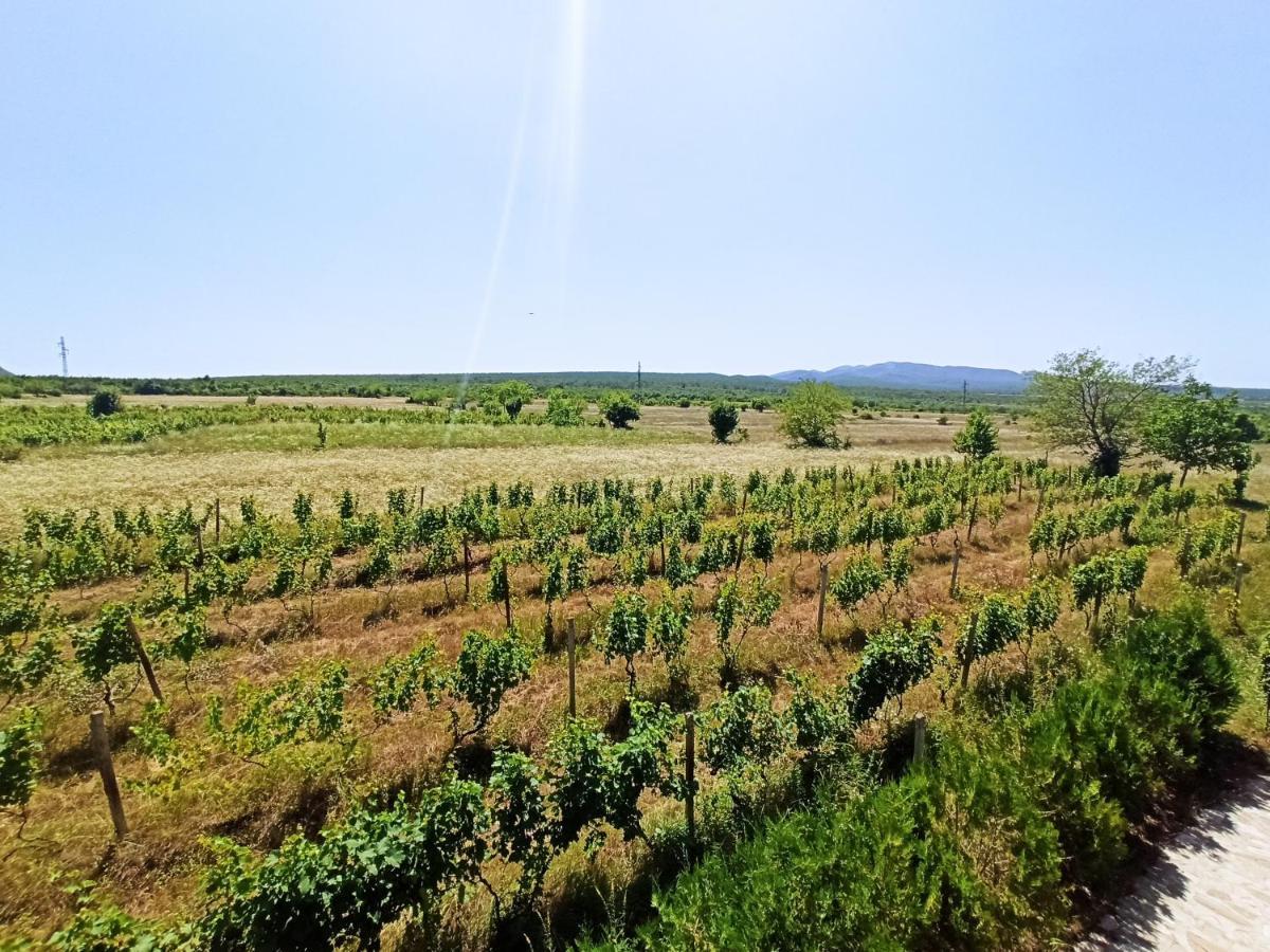 Chateau Tetri Bairagebi White Flags Kisiskhevi Zewnętrze zdjęcie